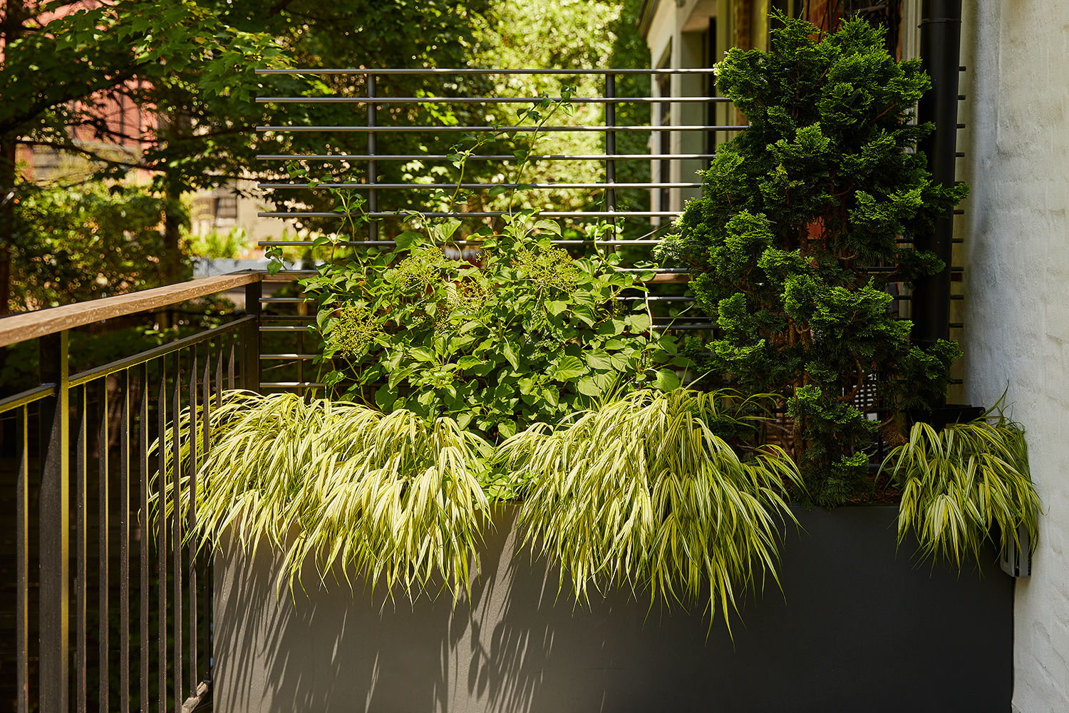 Brooklyn Heights Townhouse III